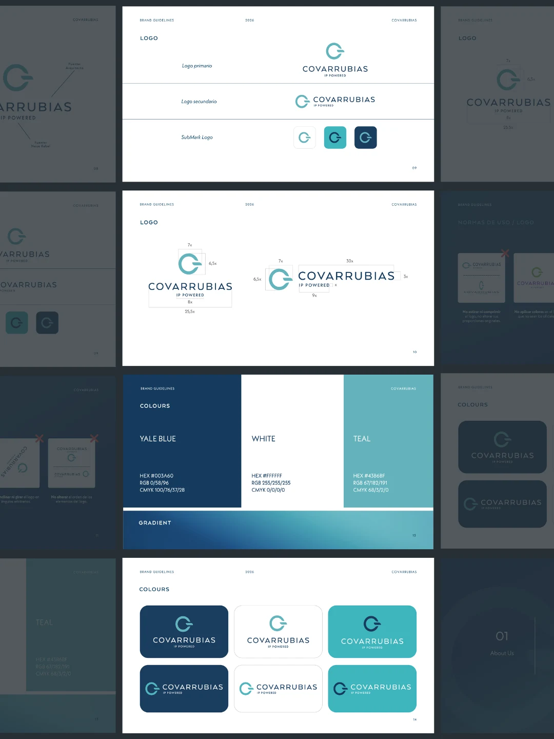 Páginas del manual de marca con las versiones del logotipo y la paleta en azul, celeste y blanco