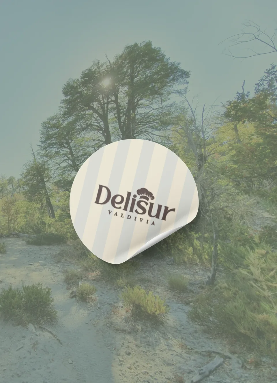 Logotipo de Delisur sobre una fotografía de bosque y río del sur de Chile