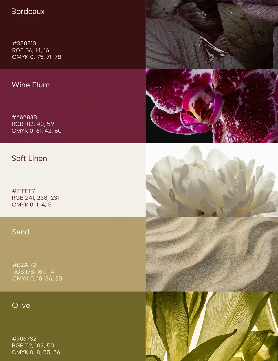 Paleta de la marca: bordeaux, wine plum, soft linen, sand y olive, cada color con su código y una fotografía